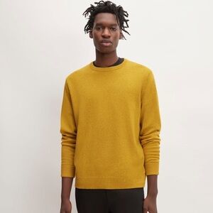 Everlane The Cashmere Crew Sweater